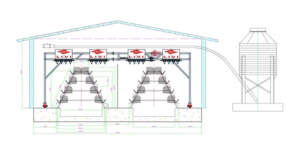 Solution-of-10000-Layer-Battery-Cage