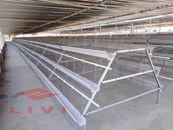 A-Type-120-Birds-Capacity-Battery-Cages