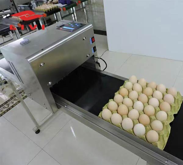 Egg-Printing-Machine-Price